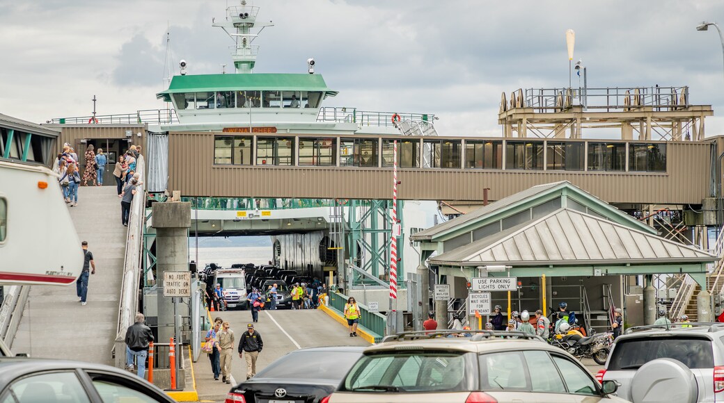 Bainbridge Island