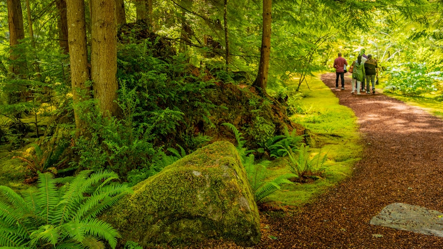 Bloedel Reserve