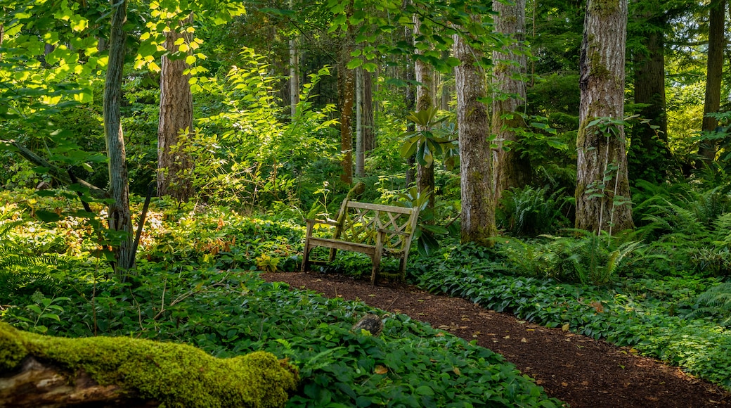 Bloedel Reserve showing a park