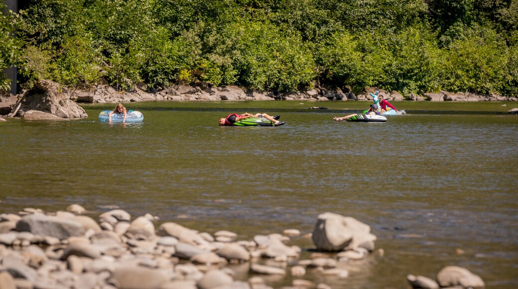 Bogachiel River showing a lake or waterhole as well as a small group of people