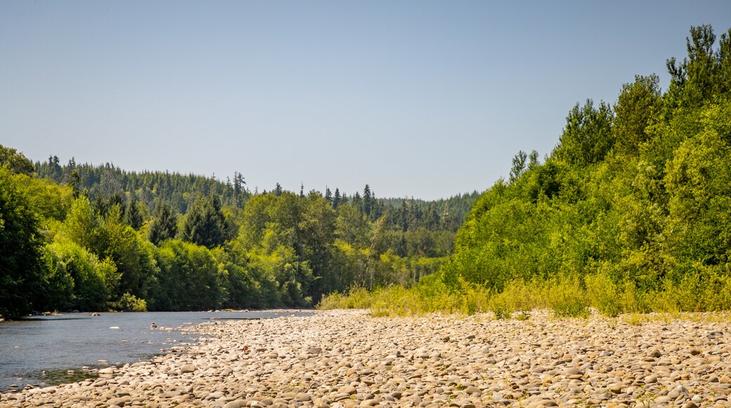 Bogachiel River featuring a river or creek, a pebble beach and tranquil scenes