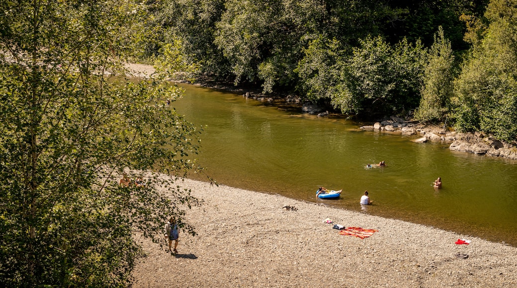 Bogachiel River featuring a river or creek and swimming as well as a small group of people