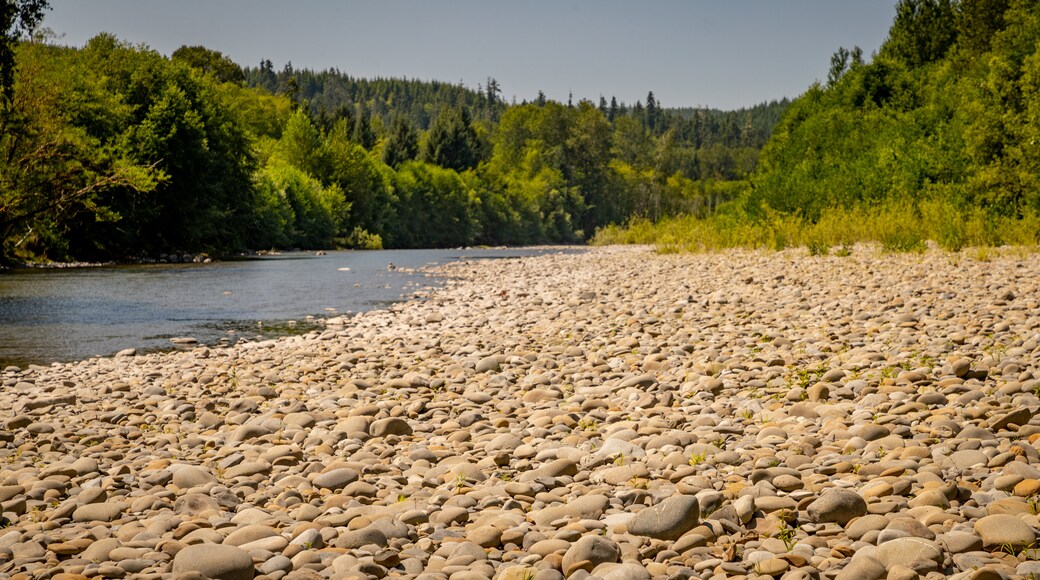 Bogachiel River showing a river or creek and a pebble beach