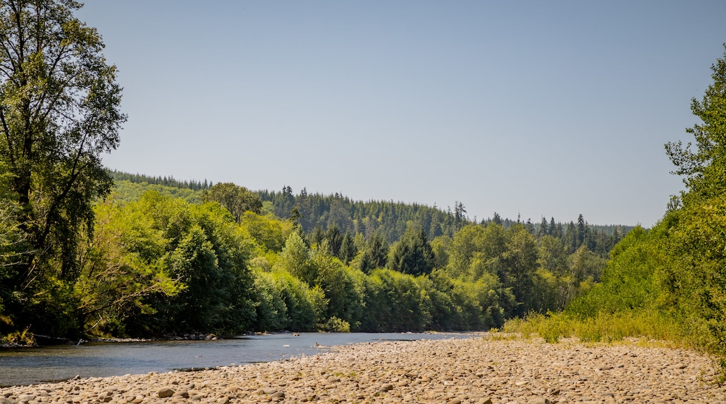Bogachiel River