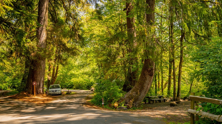 Bogachiel State Park