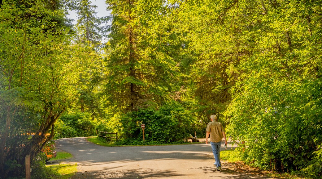 Bogachiel State Park