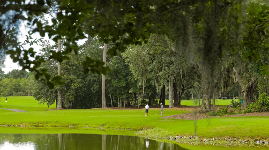 Caledonia Golf and Fish Club