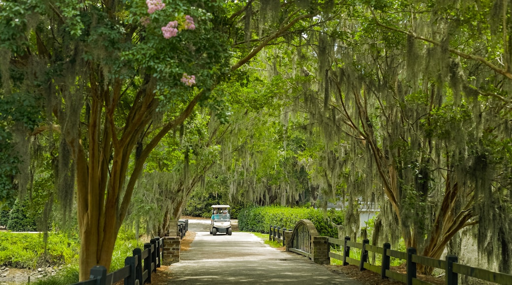 Caledonia Golf and Fish Club which includes a bridge and a park as well as a small group of people