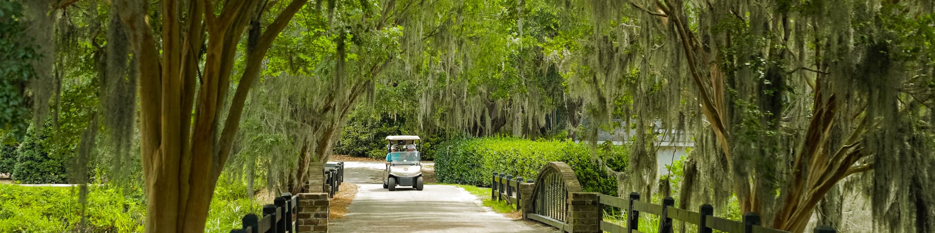 Caledonia Golf and Fish Club which includes a bridge and a park as well as a small group of people