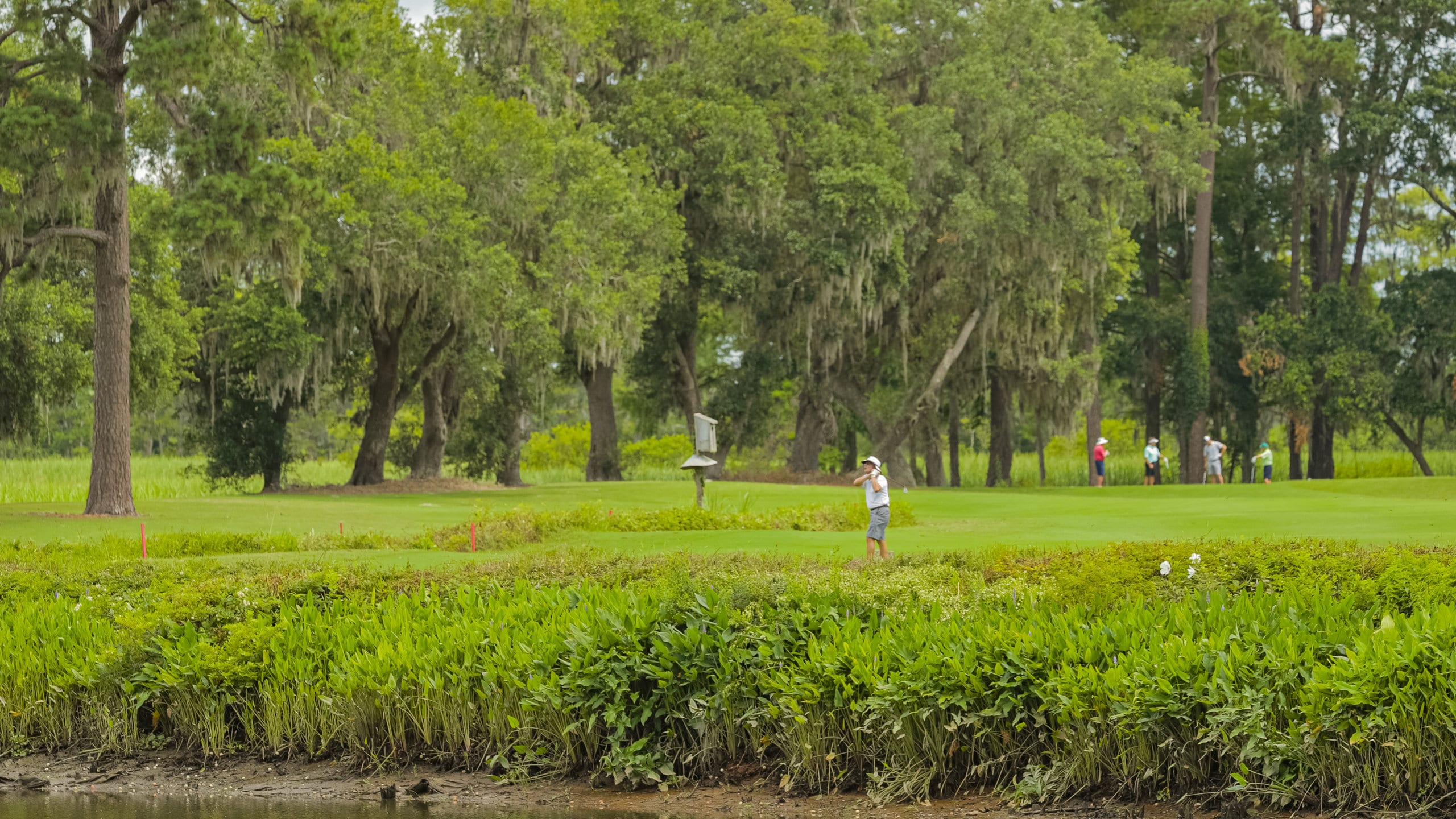 Caledonia Golf and Fish Club showing golf as well as an individual male