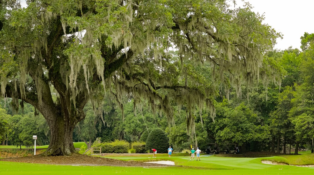 Caledonia Golf and Fish Club