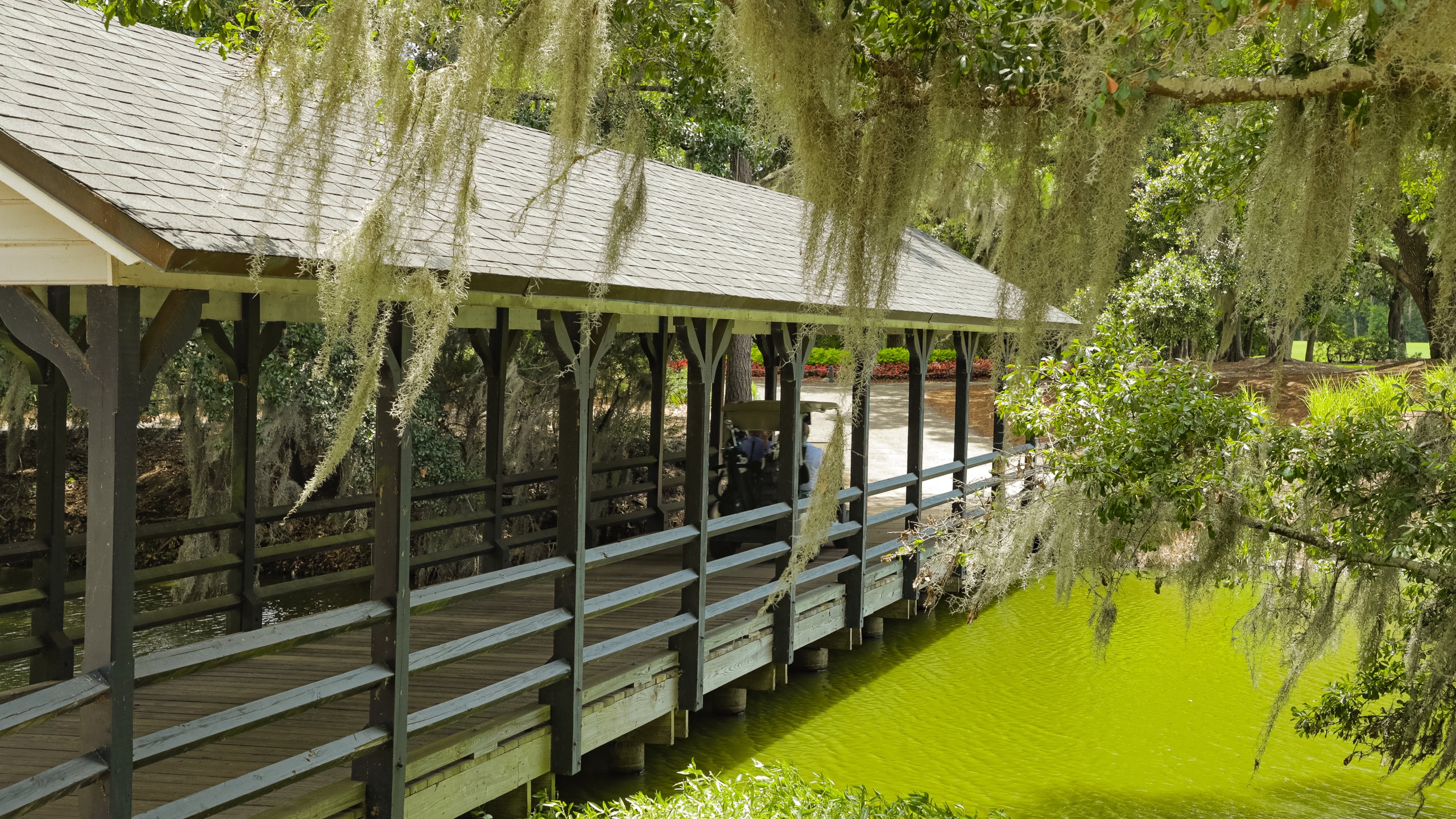 Caledonia Golf and Fish Club showing a bridge and a pond