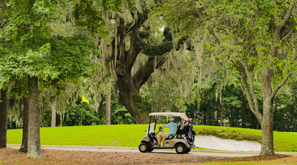 Caledonia Golf and Fish Club