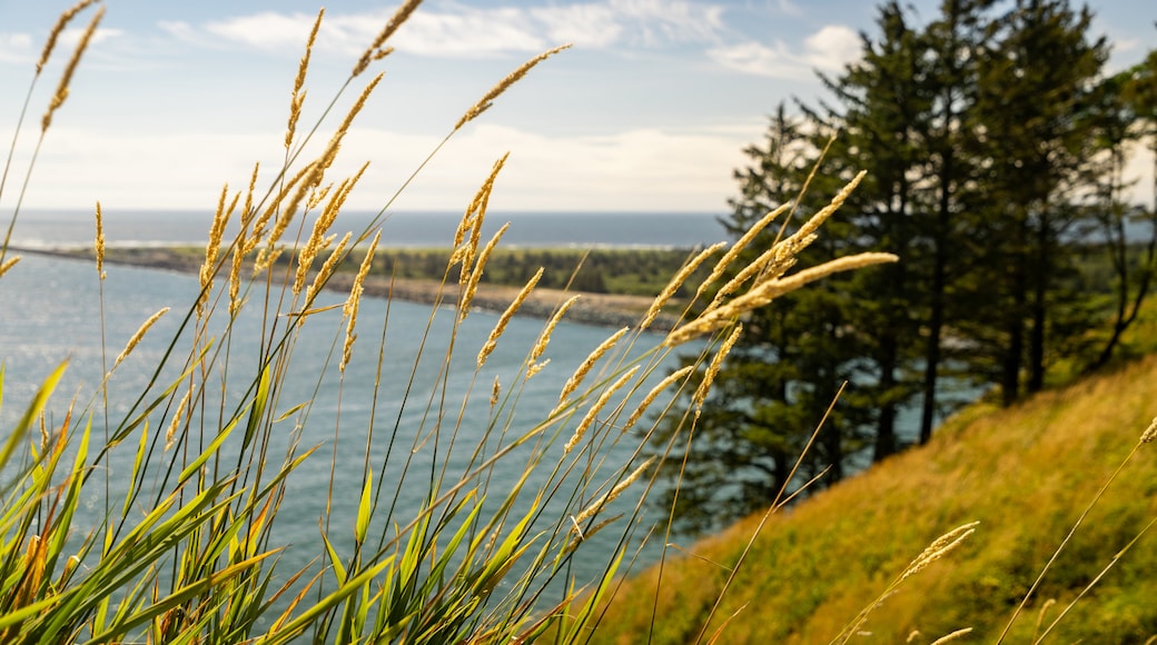 Cape Disappointment State Park showing wildflowers and general coastal views