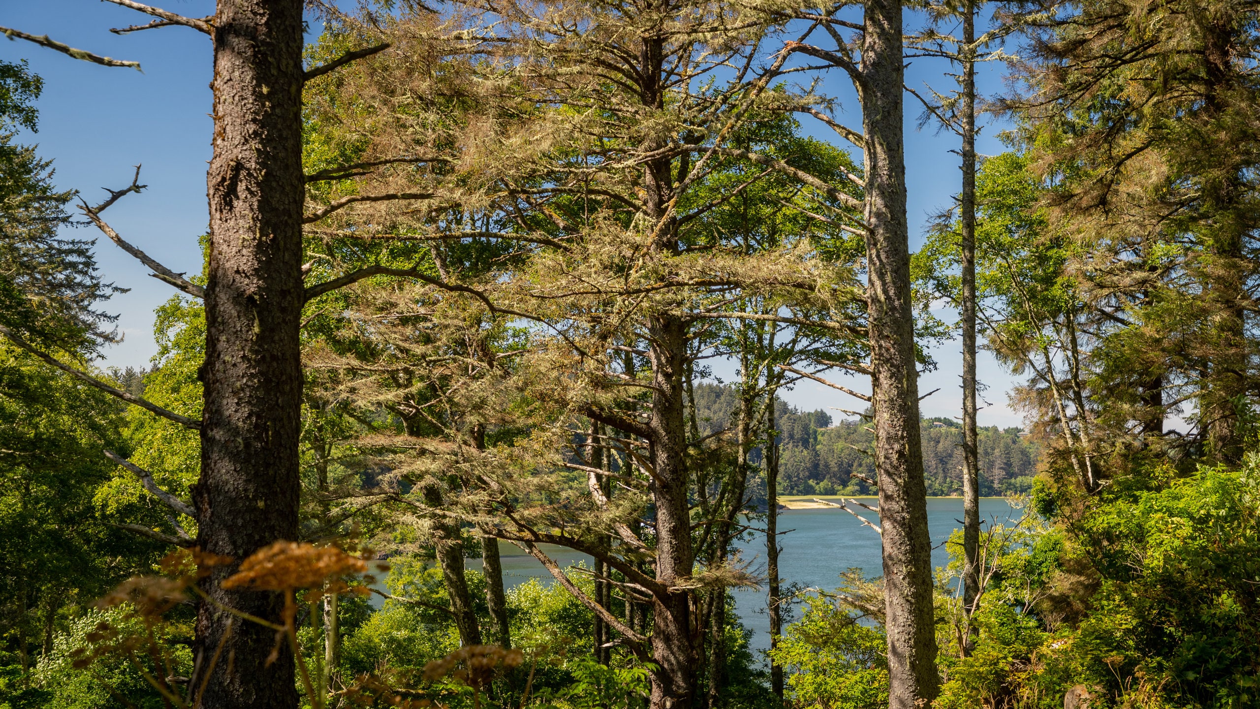 Ilwaco, WA Vacation Rentals house rentals & more Vrbo