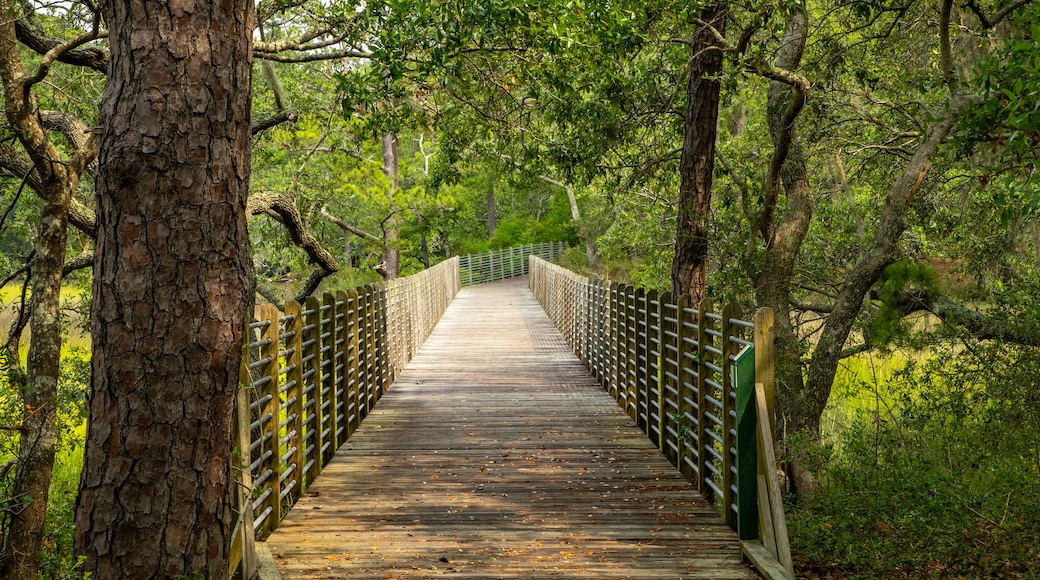 Reisetipps West Ashley 2023 das Beste in West Ashley entdecken Expedia