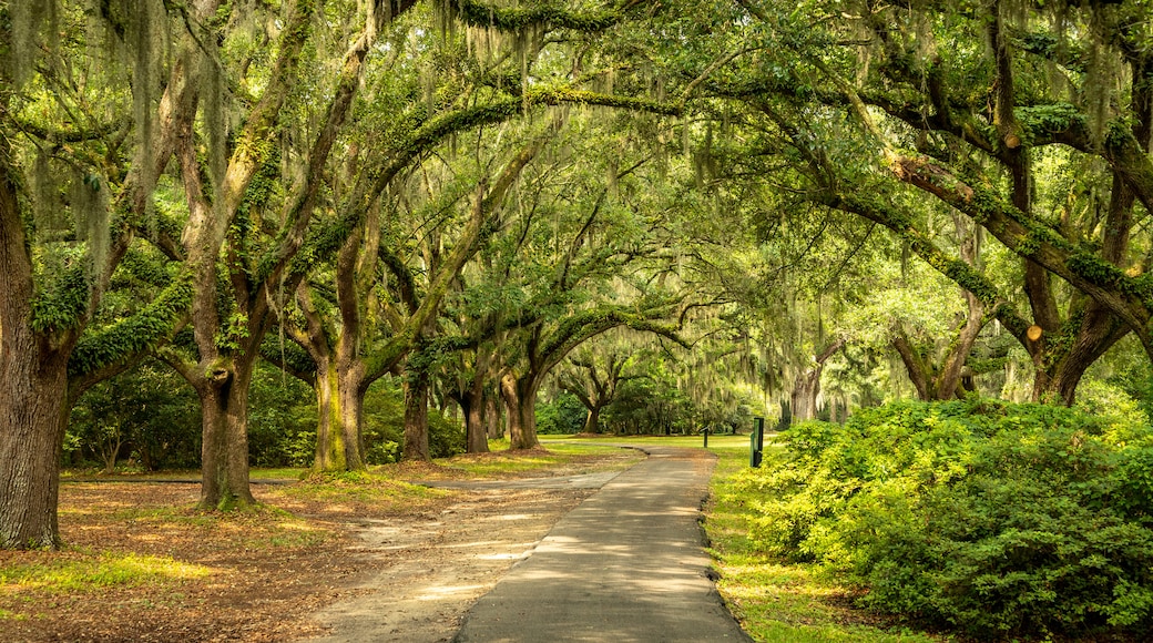 Charles Towne Landing State Historic Site
