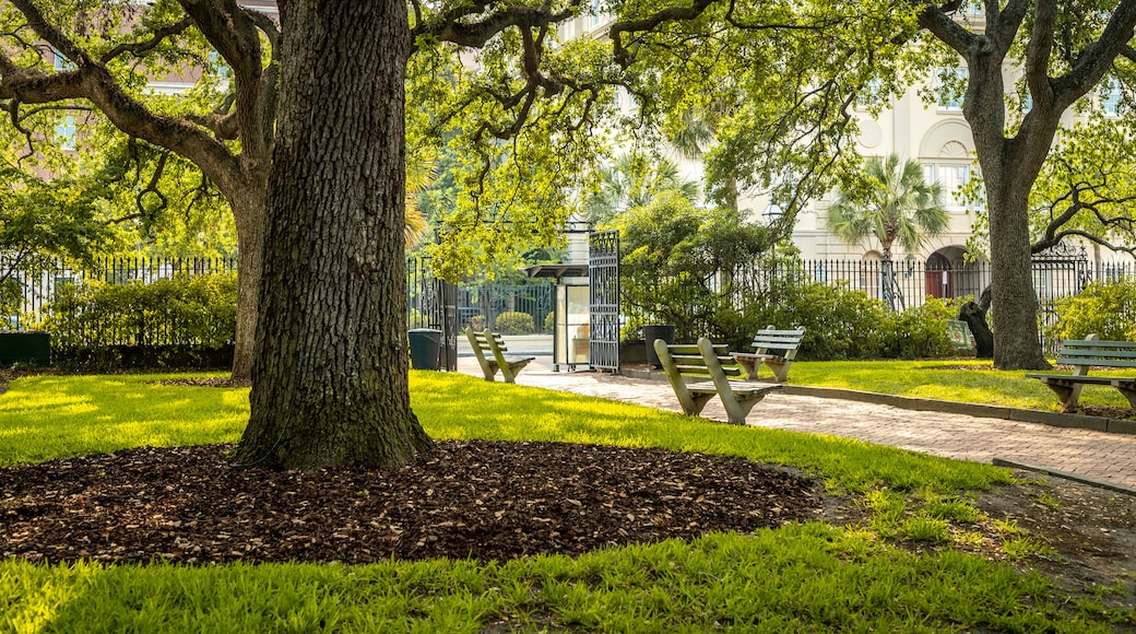 Washington Square which includes a park