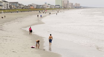 Cherry Grove Pier featuring a beach and general coastal views