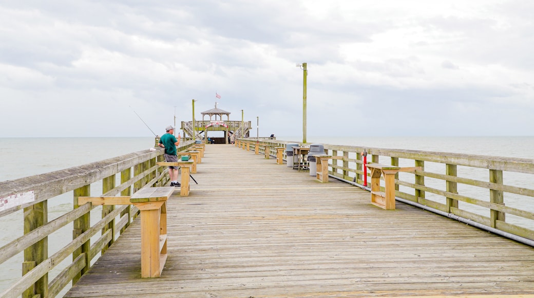 Cherry Grove Pier which includes general coastal views