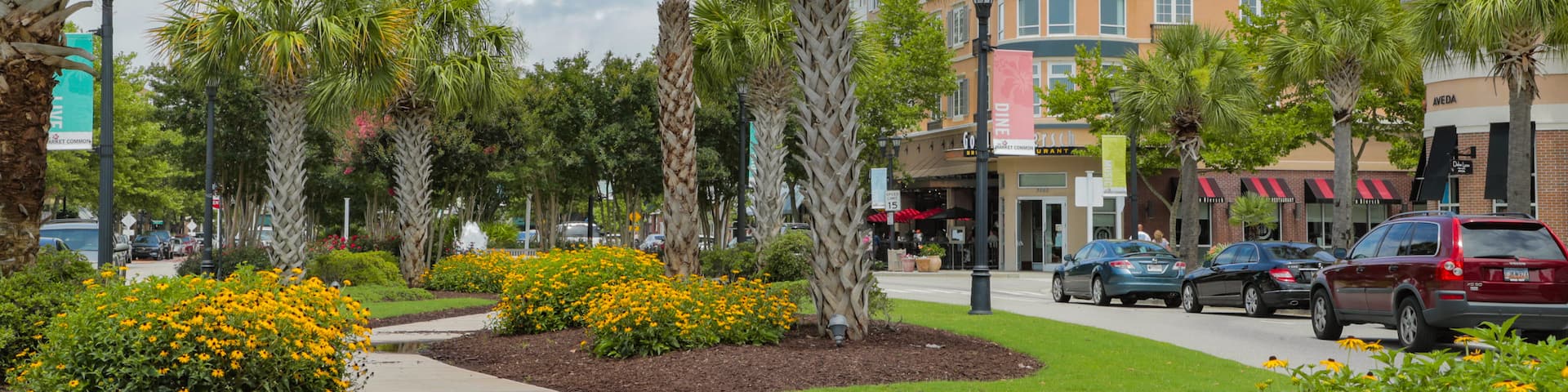 The Market Common showing a garden and flowers
