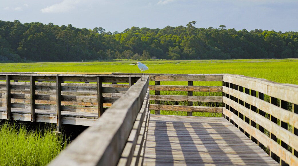 Huntington Beach State Park