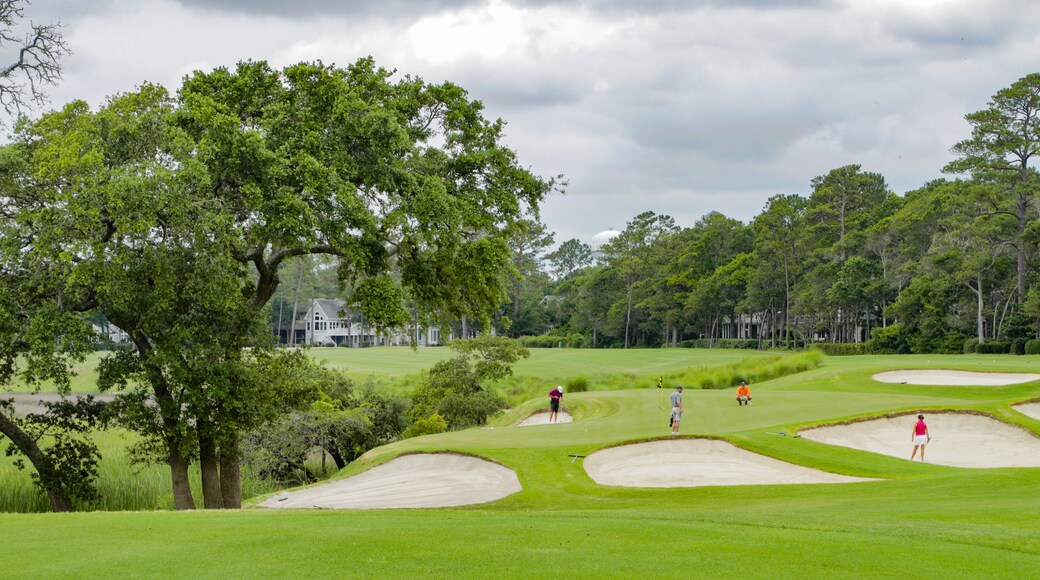 Tidewater Golf Club which includes golf as well as a small group of people