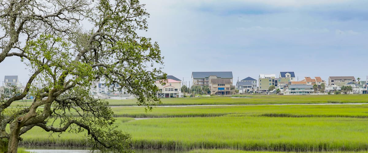 Tidewater Golf Club showing wetlands