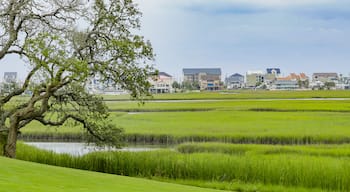 Tidewater Golf Club showing wetlands