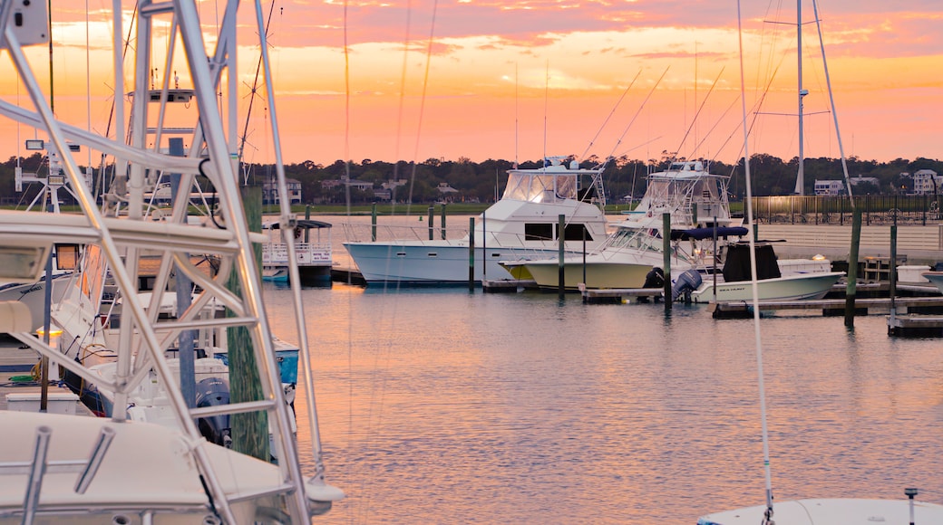 Coastal South Carolina
