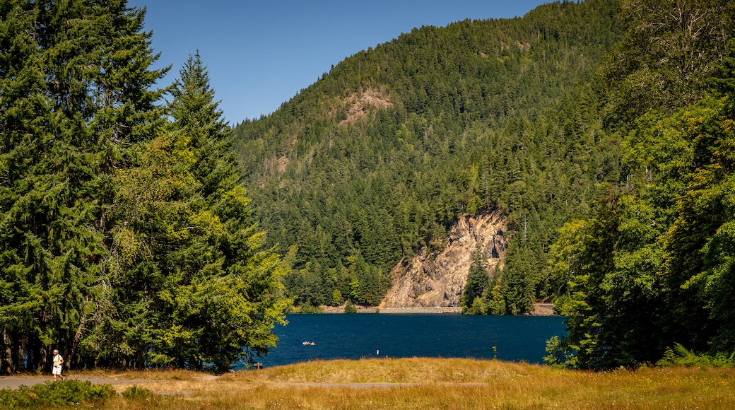 Crescent Beach which includes a lake or waterhole