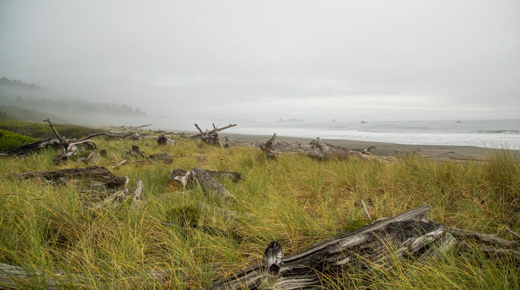 Crissey Field State Park