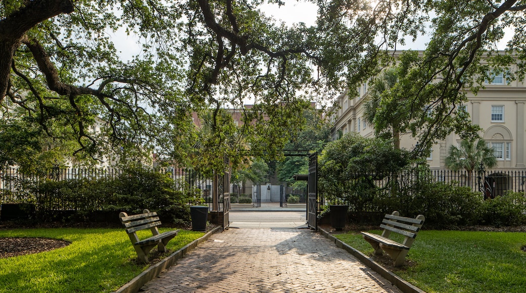 Washington Square featuring a park