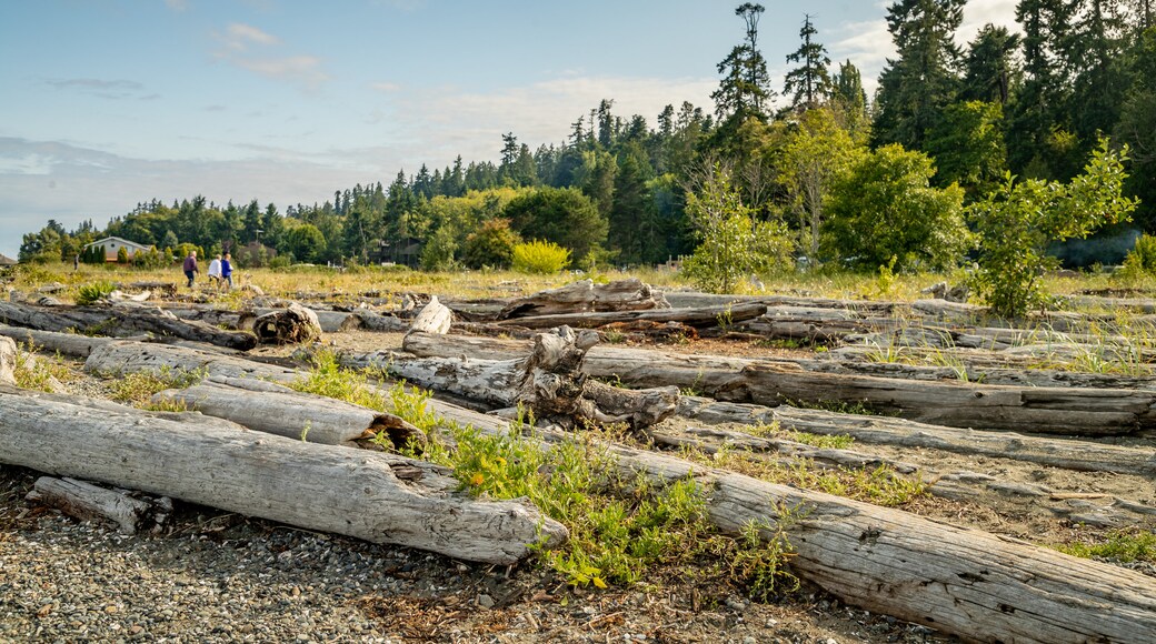 Fay Bainbridge State Park featuring tranquil scenes as well as a small group of people