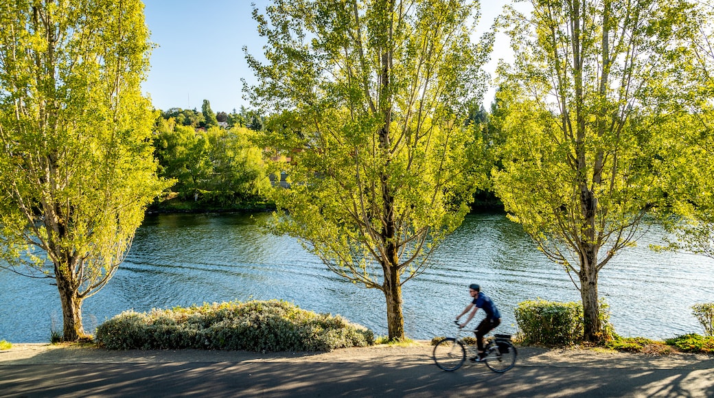 Fremont showing a river or creek, cycling and a park