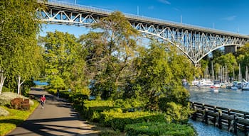 Fremont featuring a river or creek, a park and a bridge