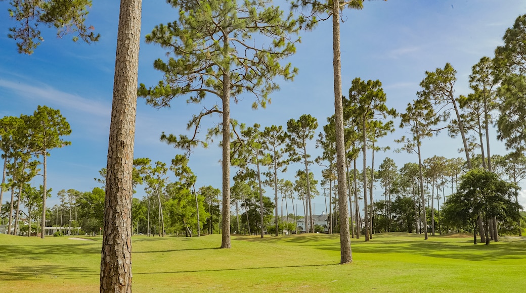 Tupelo Bay Golf Center showing golf