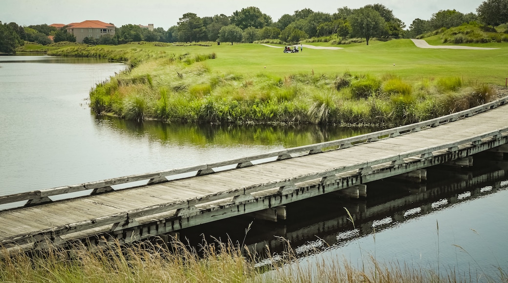 Grand Dunes Golf Course showing a bridge, a pond and golf