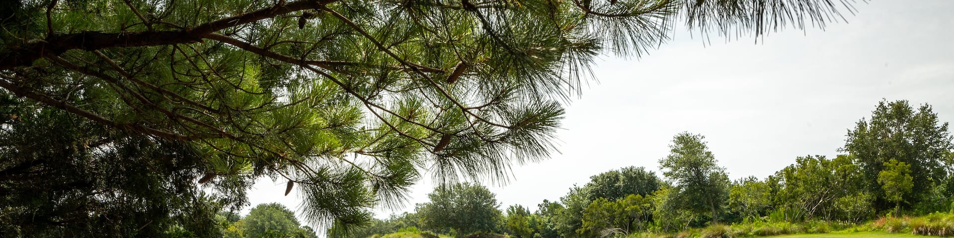 Grand Dunes Golf Course which includes a bridge, golf and a river or creek
