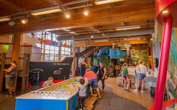 Visit Hands On Children's Museum in Olympia | Expedia