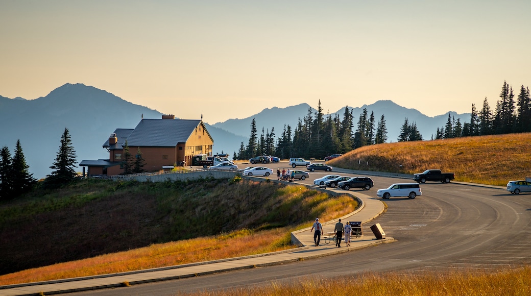 Hurricane Ridge