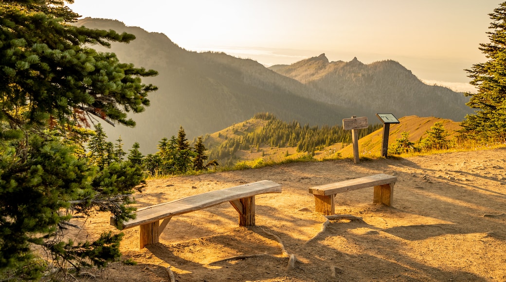 Hurricane Ridge which includes views, landscape views and tranquil scenes