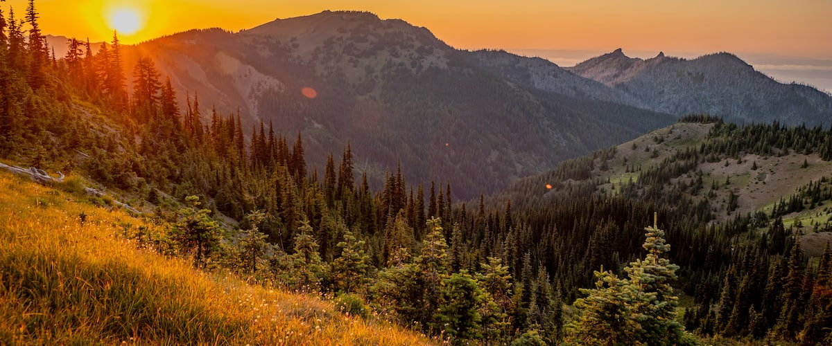 Hurricane Ridge showing landscape views, tranquil scenes and a sunset