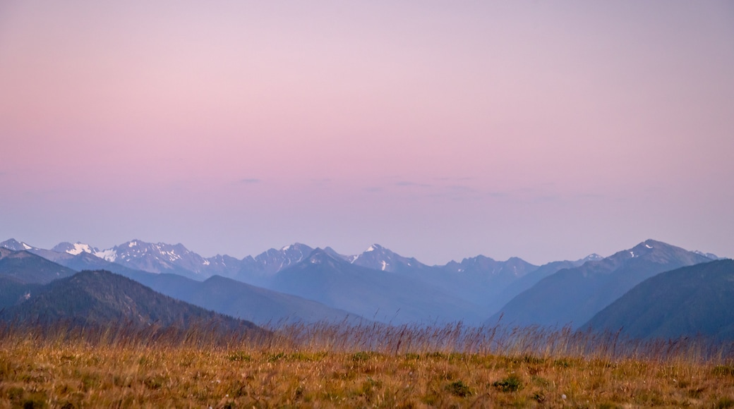 Hurricane Ridge