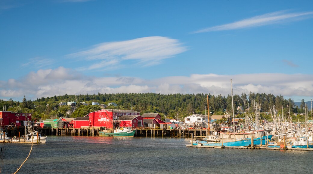 Ilwaco which includes a bay or harbor