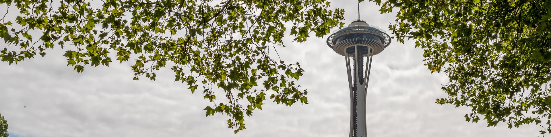 International Fountain featuring a fountain and a park