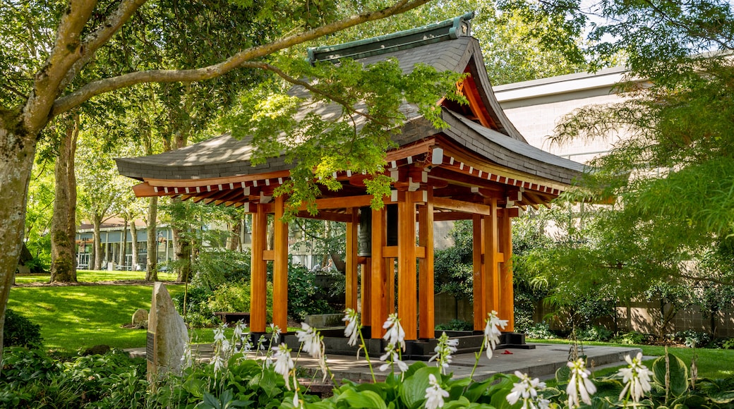 International Fountain showing a garden