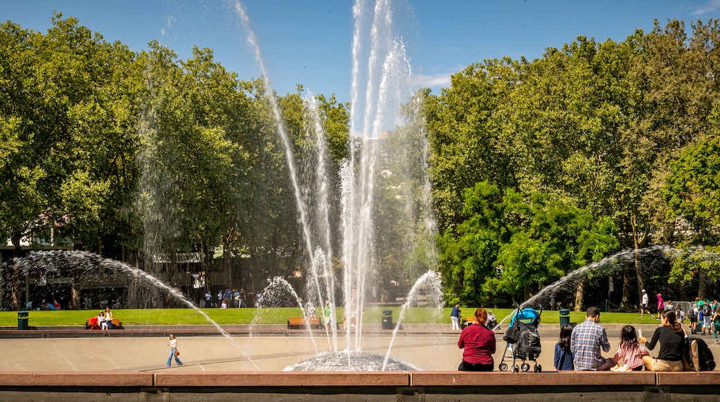 International Fountain showing a garden and a fountain as well as a family