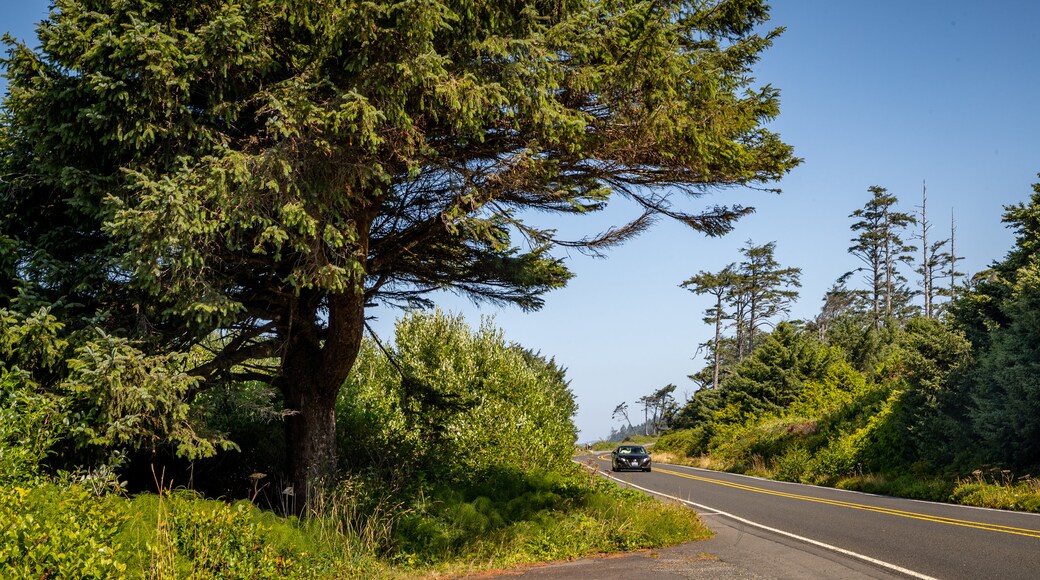 Kalaloch which includes tranquil scenes