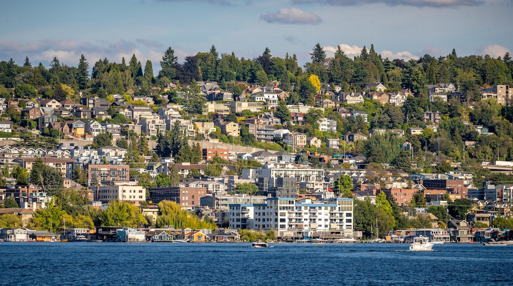 Lake Union